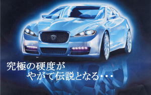 Gzox(ハイモースコート)